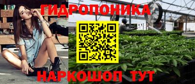 прущие грибы Малгобек