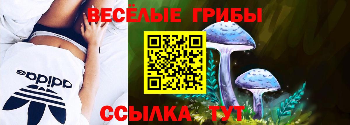 Галлюциногенные грибы GOLDEN TEACHER Северск